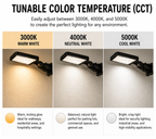 AF11 Tunable Area Fixture 300Watt w/ Universal Mount